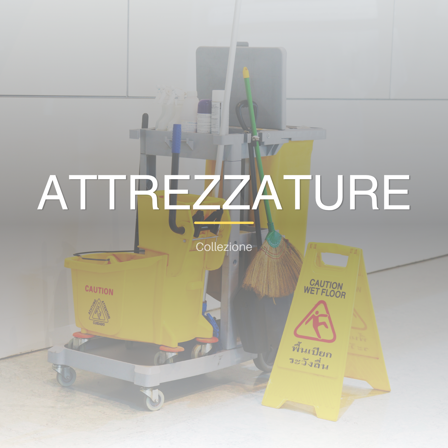 COLLEZIONE_ATTREZZATURE
